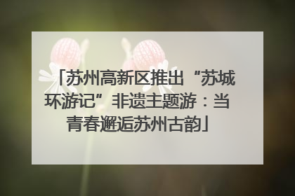 苏州高新区推出“苏城环游记”非遗主题游：当青春邂逅苏州古韵