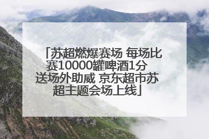 苏超燃爆赛场 每场比赛10000罐啤酒1分送场外助威 京东超市苏超主题会场上线