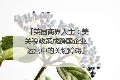 英国商界人士：美关税政策成跨国企业运营中的关键障碍