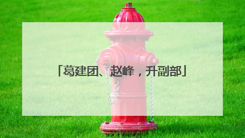 葛建团、赵峰，升副部