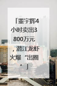 董宇辉4小时卖出3800万元，潜江龙虾火爆“出圈”