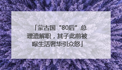 蒙古国“80后”总理遭解职，其子此前被曝生活奢华引众怒
