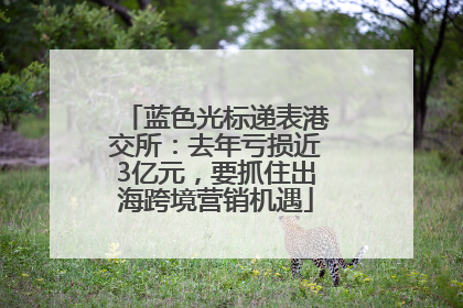 蓝色光标递表港交所：去年亏损近3亿元，要抓住出海跨境营销机遇