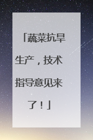 蔬菜抗旱生产，技术指导意见来了！