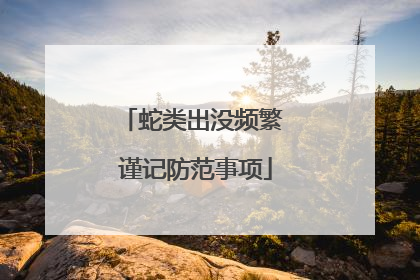 蛇类出没频繁 谨记防范事项