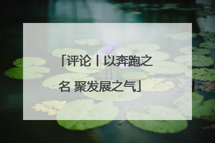 评论丨以奔跑之名 聚发展之气