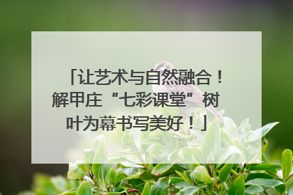 让艺术与自然融合！解甲庄“七彩课堂”树叶为幕书写美好！