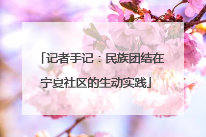 记者手记：民族团结在宁夏社区的生动实践