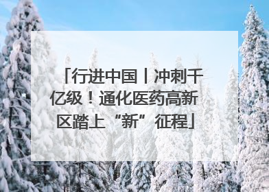 行进中国丨冲刺千亿级！通化医药高新区踏上“新”征程