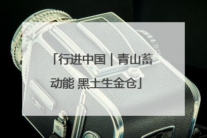 行进中国｜青山蓄动能 黑土生金仓