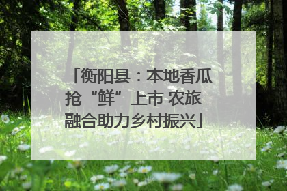 衡阳县：本地香瓜抢“鲜”上市 农旅融合助力乡村振兴