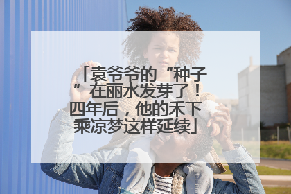 袁爷爷的“种子”在丽水发芽了！四年后，他的禾下乘凉梦这样延续