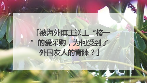 被海外博主送上“榜一”的爱采购，为何受到了外国友人的青睐？