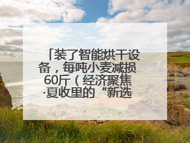 装了智能烘干设备，每吨小麦减损60斤（经济聚焦·夏收里的“新选手”）