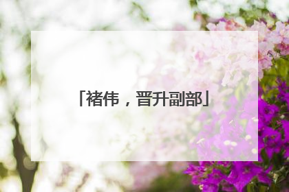 褚伟，晋升副部