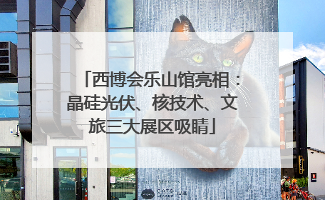 西博会乐山馆亮相：晶硅光伏、核技术、文旅三大展区吸睛
