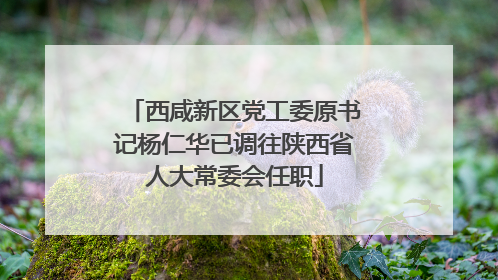 西咸新区党工委原书记杨仁华已调往陕西省人大常委会任职