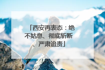 西安再表态：绝不姑息、彻底斩断、严肃追责