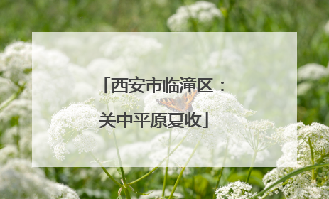西安市临潼区:关中平原夏收