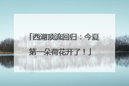 西湖顶流回归：今夏第一朵荷花开了！