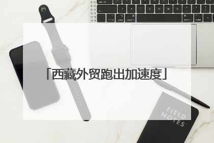 西藏外贸跑出加速度