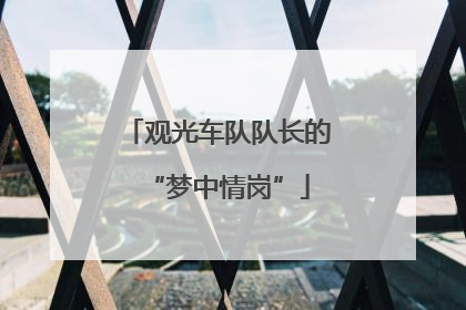 观光车队队长的“梦中情岗”