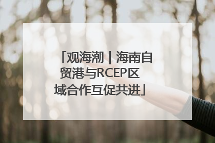 观海潮｜海南自贸港与RCEP区域合作互促共进