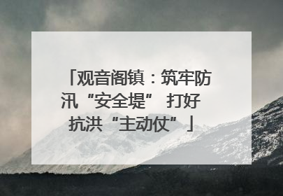 观音阁镇：筑牢防汛“安全堤” 打好抗洪“主动仗”