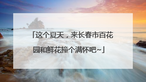 这个夏天，来长春市百花园和鲜花撞个满怀吧~
