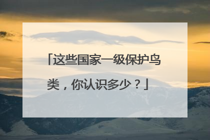 这些国家一级保护鸟类，你认识多少？