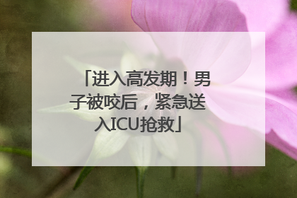 进入高发期！男子被咬后，紧急送入ICU抢救