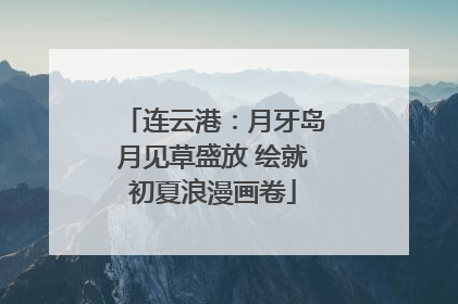 连云港：月牙岛月见草盛放 绘就初夏浪漫画卷