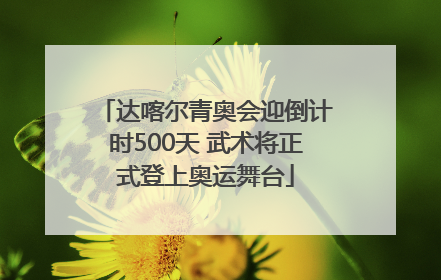 达喀尔青奥会迎倒计时500天 武术将正式登上奥运舞台