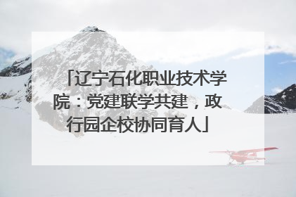辽宁石化职业技术学院：党建联学共建，政行园企校协同育人