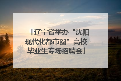 辽宁省举办“沈阳现代化都市圈”高校毕业生专场招聘会