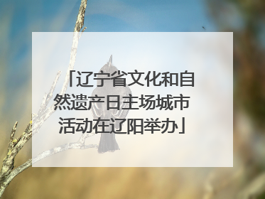 辽宁省文化和自然遗产日主场城市活动在辽阳举办