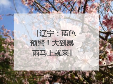 辽宁：蓝色预警！大到暴雨马上就来