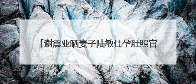 谢震业晒妻子陆敏佳孕肚照官宣喜讯：记录下第一个父亲节