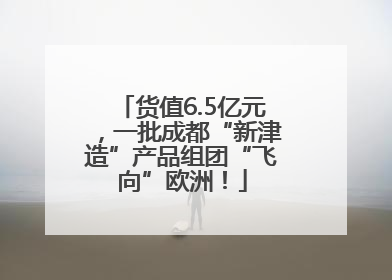 货值6.5亿元，一批成都“新津造”产品组团“飞向”欧洲！