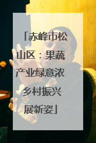 赤峰市松山区：果蔬产业绿意浓 乡村振兴展新姿