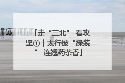 走“三北” 看攻坚①｜太行披“绿装” 连翘药茶香