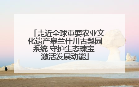 走近全球重要农业文化遗产皋兰什川古梨园系统 守护生态瑰宝 激活发展动能