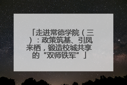 走进常德学院（三）：政策筑基、引凤来栖，锻造校城共享的“双师铁军”