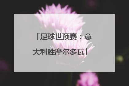足球世预赛：意大利胜摩尔多瓦