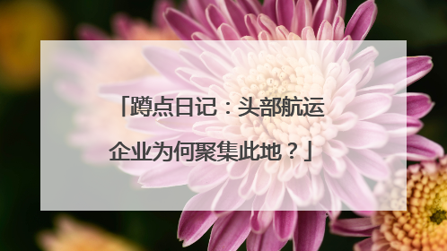 蹲点日记：头部航运企业为何聚集此地？