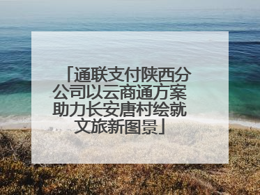 通联支付陕西分公司以云商通方案助力长安唐村绘就文旅新图景