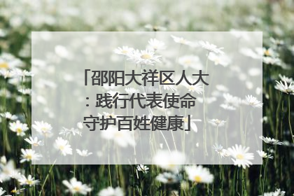 邵阳大祥区人大：践行代表使命 守护百姓健康