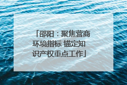 邵阳：聚焦营商环境指标 锚定知识产权重点工作