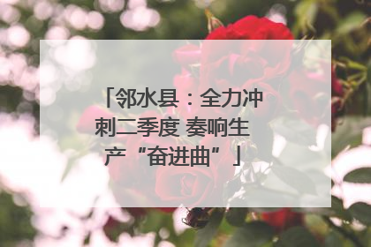 邻水县：全力冲刺二季度 奏响生产“奋进曲”