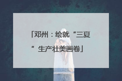邓州：绘就“三夏”生产壮美画卷